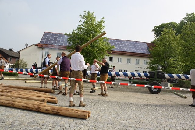 Maibaum 2013